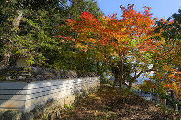 Fototapeta premium 鳳源寺