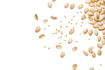 beans cascading down a transparent background