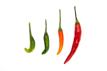 Chilli (Solanaceae) with isolated white background 