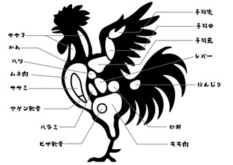 鶏肉主要部位 © m