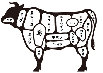 牛肉の主要部位