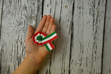hand holding a hungarian tricolor cockade