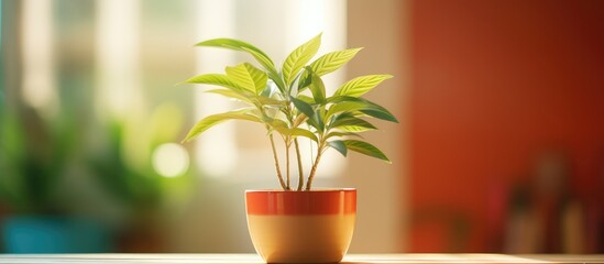 A small potted plant is placed on a table, adding a touch of green to the home decor. The plant is the focal point of the scene with selective focus highlighting its details.