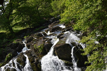 waterfall in the park