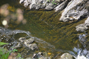 waterfall in the forest