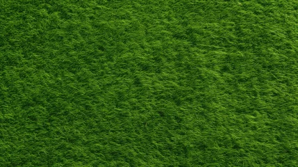 Plaid mouton avec motif Vert A green field with grass and a few trees