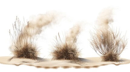 Flowing desert sand, rolling dry bushes, old tumble grass in prairie. Modern realistic set of flow desert sand and dead plants.