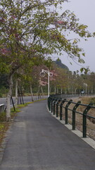 path in the park