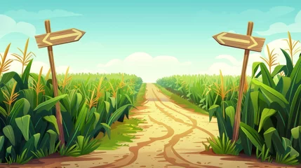 Fototapeten An illustration of green maize plants and a sandy road between corn fields, and wooden posts with arrows and traffic signs. Farm agricultural scene with arrows and traffic signs. © Mark