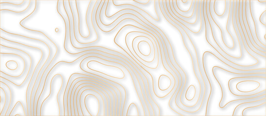 Fototapeta na wymiar Abstract topographic contours 3d map background .topographic line texture background .monochrome image .stylized height of the topographic map contour in lines. 