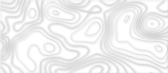 Abstract topographic contours 3d map background .topographic line texture background .monochrome image .stylized height of the topographic map contour in lines.	