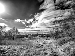 landscape with a tree and clouds