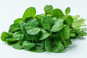 A close up of a bunch of spinach leaves isolated on white background
