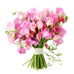  Sweet Pea bouquet, bunch isolated on transparent png.