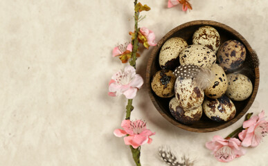 Easter composition with quail eggs and flowers