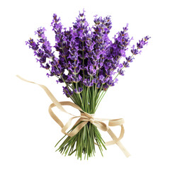 Fototapeta premium Lavender bouquet, bunch isolated on transparent png.