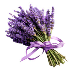 Lavender bouquet, bunch isolated on transparent png.