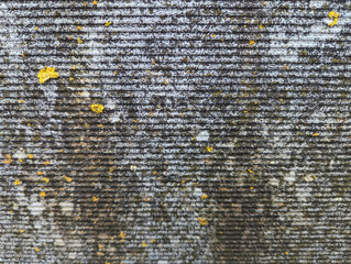 background, texture of ribbed cement fence with flames from rain and lichen, grunge