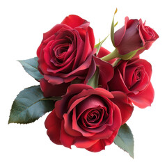 Red Rose bouquet, bunch isolated on transparent png.