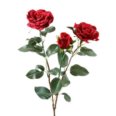 Red Rose bouquet, bunch isolated on transparent png.
