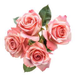 Pink Rose bouquet, bunch isolated on transparent png.