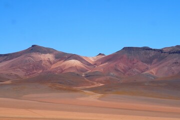 Fototapeta premium OLYMPUS DIGITAL CAMERA