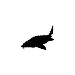 Beluga Sturgeon or Huso Fish Silhouette, Flat Style, Fish Which Produce Premium and Expensive Caviar, For Logo Type, Art Illustration, Pictogram, Apps, Website or Graphic Design Element. Vector 