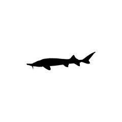 Beluga Sturgeon or Huso Fish Silhouette, Flat Style, Fish Which Produce Premium and Expensive Caviar, For Logo Type, Art Illustration, Pictogram, Apps, Website or Graphic Design Element. Vector 