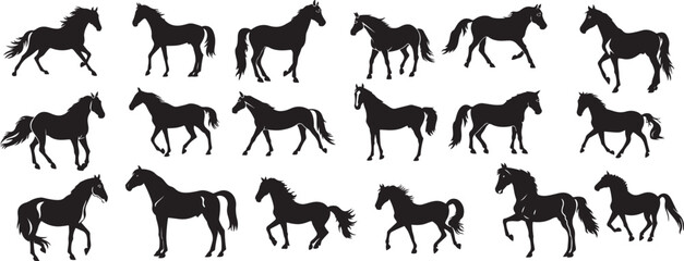 Set of silhouette of horses. Isolated black silhouette