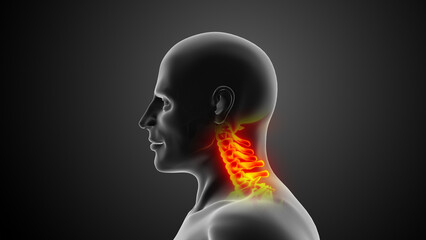 Cervical spine or neck injuries