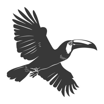 recommend clip art: Silhouette Toucan bird animal fly black color only full body