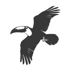 Obraz premium Silhouette Toucan bird animal fly black color only full body