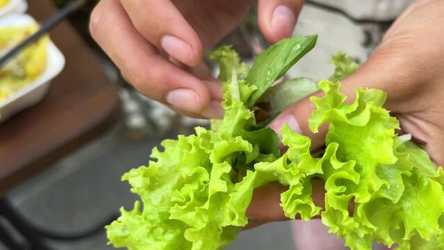 Vietnamese food pancakes wrapped in lettuce leaves various fillings dipped in sauce. vietnam food wrapped in lettuce leaf