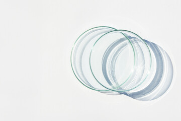 Empty Petri dish. On a white background. Bright sunlight. Deep shadows. Contrast. Laboratory. Petri dishes.