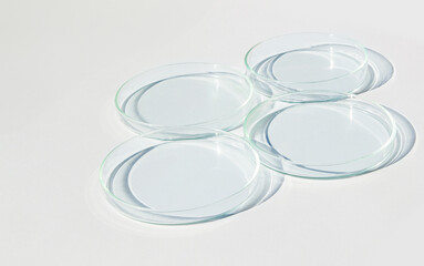 Empty Petri dish. On a white background. Bright sunlight. Deep shadows. Contrast. Laboratory. Petri dishes.