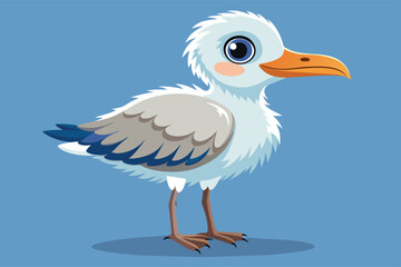 create-a--baby-seagull vector.eps