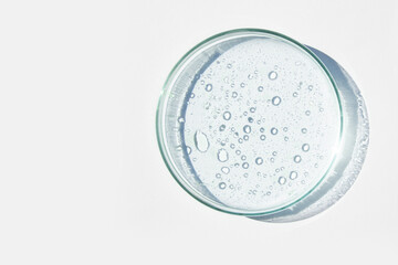 Petri dish. Petri's cup with liquid. Chemical elements, oil, cosmetics. Gel, water, molecules, viruses. Close-up. On a white background.