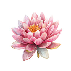 beautiful lotus flower vector illustration in watercolour style