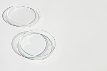 An empty petri dishes on a light background.