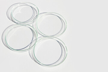 An empty petri dishes on a light background.