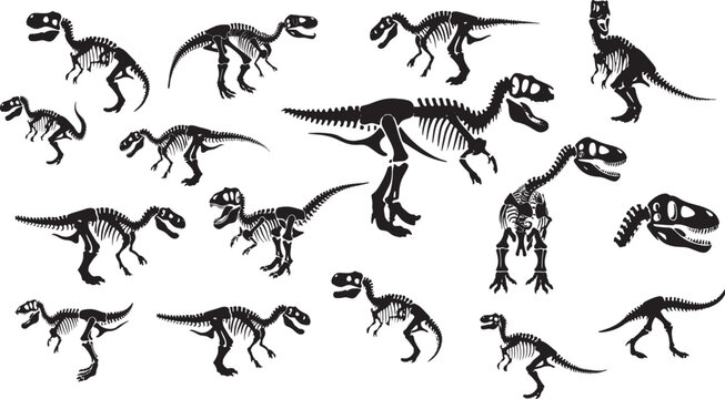 Set of Tyrannosaurus Rex skeleton silhouette 