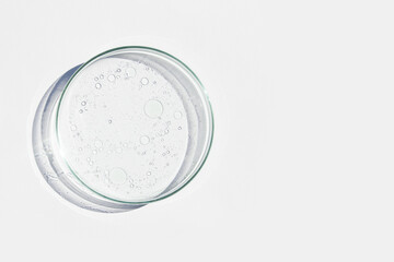 Petri dish. Petri cups with liquid. Kit. Chemical elements, oil, cosmetics. Gel, water, molecules,...
