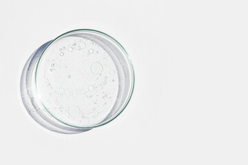 Petri dish. Petri cups with liquid. Kit. Chemical elements, oil, cosmetics. Gel, water, molecules, viruses. Close-up. On a white background.