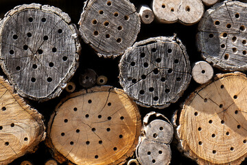 A close-up of a bee hotel displays cut logs with holes arranged in circular patterns. It features...