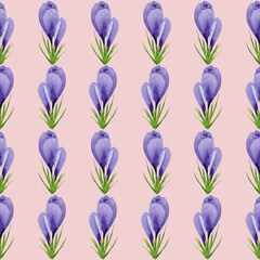 Watercolor spring crocuses seamless pattern, spring flower digital paper on pink background. Hand painted floral illustration. For textile design, packaging, wrapping paper, wallpaper, scrapbooking.