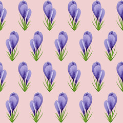 Watercolor spring crocuses seamless pattern, spring flower digital paper on pink background. Hand painted floral illustration. For textile design, packaging, wrapping paper, wallpaper, scrapbooking.