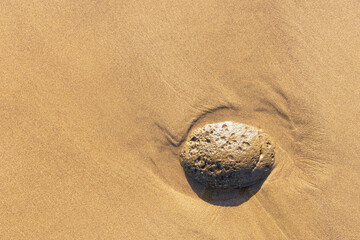 Volcanic rock embedded in golden sand with warm sunlight outlining fine patterns in the sand