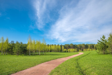 Fototapeta na wymiar Spring forest and green grass and dirt path against the background of beautiful clouds with blue skies. Spring natural landscape.