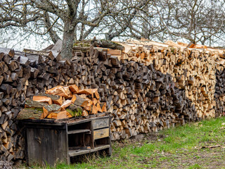 Brennholz lagert auf einer Streuobstwiese