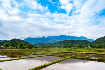 Fototapeta na wymiar Mai Chau village landscape with rice paddy fields in North Vietnam. Mai Cau is a countryside are popular for tourists